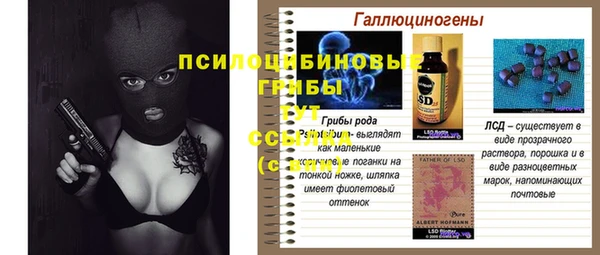 ПСИЛОЦИБИНОВЫЕ ГРИБЫ Лабытнанги