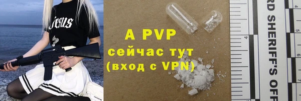 ПСИЛОЦИБИНОВЫЕ ГРИБЫ Лабытнанги